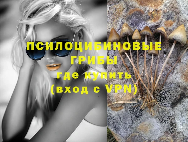 стафф Кулебаки